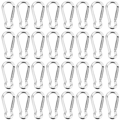 50 Stück Mini Aluminium Bulk Karabiner Federclip Haken Schlüsselanhänger Schnalle Pack Karabiner für Camping Wandern Wohnmobil Angeln Flasche Rucksack Reisen, Silber