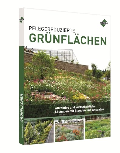 Pflegereduzierte Grünflächen: Attraktive und wirtschaftliche Lösungen mit Stauden und Ansaaten