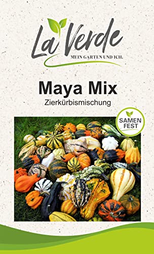 Maya Mix Kürbissamen