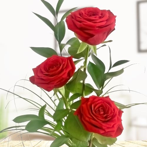 3 rote Rosen - XXL-Blüte - Rosenstrauß mit Rosen, Ruskus und Gräsern - Inklusive gratis Vase und Grußkarte