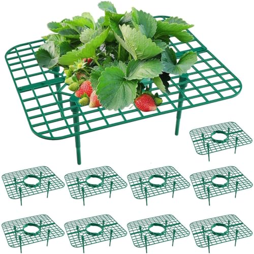 DONGKER Erdbeerstützen Ständer, 10 Stück Erdbeerregal, hohles Design, Pflanzenstützen für Erdbeeren, um die Beeren und Erdbeeren sauber zu halten, 24,8x20x9 cm