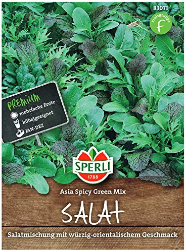 Sperli Premium Asia Salat | Asia Spicy Green Mix | 4 Sorten | Asia Salat Samen | winterhart ganzjährig