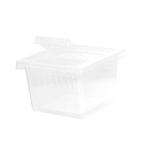 VERDANVERSE Reptil Zucht Box aus Kunststoff Transparente Fütterungsbox für Reptilien und Kompakt für Terrarien Langlebig