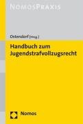 Jugendstrafvollzugsrecht: Eine kommentierende Darstellung der einzelnen Jugendstrafvollzugsgesetze