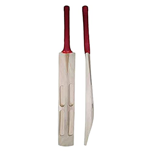 Kalindri Sports Cricketschläger aus Holz, beliebte Weide für Tennis, Gummiball (6 Zahlen, Schaufel-Design)