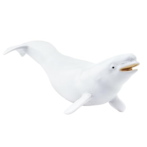 Safari 2110-02 - Monterey Beluga Wal
