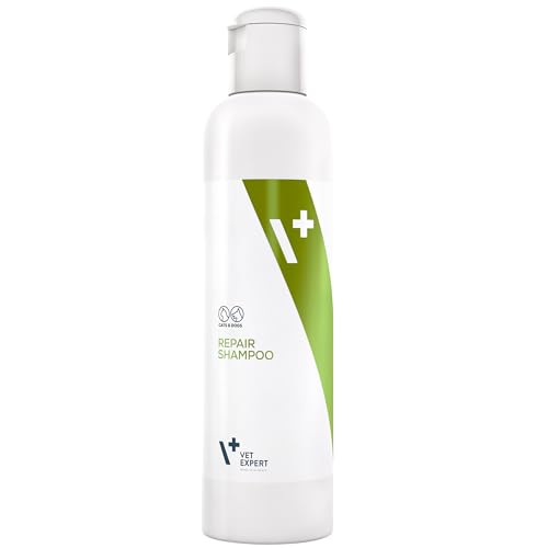 Vet Expert Spezialisiertes Regenerierendes Shampoo Für Hunde Und Katzen Feuchtigkeitsspendenden, Konditionierenden Und Stärkenden Substanzen, 1er Pack (1 x 250 ml)