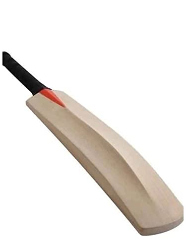 Kalindri Sports Cricketschläger aus Holz, beliebte Weide für Tennis, Gummiball (1 Zahl, einfarbig)