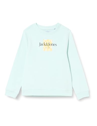 JACK&JONES JORLAFAYETTE BRANDING Sweat CREW MNI