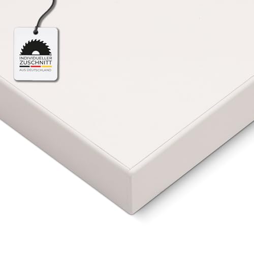 HausFux Spanplatte nach Maß - 1,9 cm stark, melaminbeschichtet, mit ABS-Kante - Made in Germany - Maßanfertigung - für Möbel- und Innenausbau (Icy White, 60 x 30 cm)