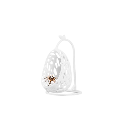 Springspinnenversteck 25x35 mm Hidden Jumping Spider Habitat Springender Spinnenraum Springspinne Habitat Zubehör für Terrarium Kletterspielzeug für kleine Haustiere