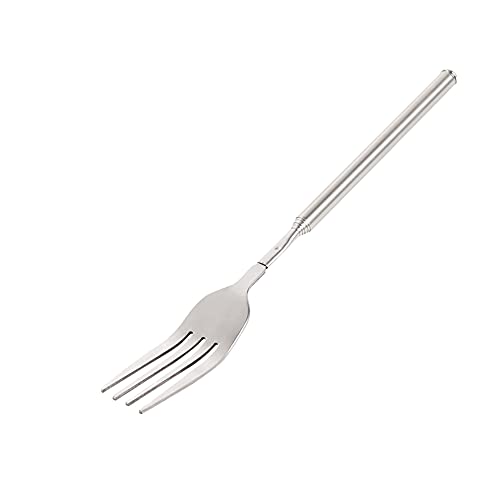 Teleskopgabel, Ausziehbare Gabel Lange Teleskop Gabel Edelstahl Teleskopgabel Besteck Lange Griff Ausziehbar 22,1– 64,6cm für BBQ Toasten Abendessen Obst Dessert