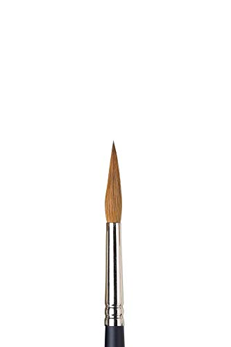 Winsor & Newton 5068008 Professional Sable Aquarell Pinsel aus Kolinski Marderhaar für ausgezeichnete Farbtragekapazität, Sprungkraft, Punktgenauigkeit - Rund Spitz Nr. 8 - 4,9mm - kurzer Stiel