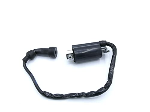 Zündspule für GN125 GN 125 DR SE GN TU GZ125 Marauder Kerzenstecker + Zündkabel