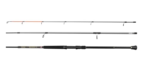Penn Regiment IV Bass Spinnrute, Salzwasser Angler Angeln Seefisch Kabeljau, Aal, Barsch, Seelachs, Makrele, Hai, Starkes Leichtgewicht & Vielseitig, Silber, 3.00m schnelle beidhändige Rute