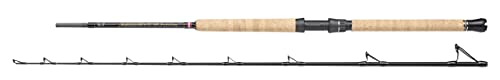 PENN Regiment III Pro Bootsrute - Rute mit Korkgriff zum Meeresangeln - Wrack- und Rifffischen - Conger, Dorsch, Barsch, Seelachs
