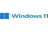 Microsoft MS Win 11 Pro EN 64Bit FQC-10528