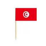 PJQUEKAIPJ 100 Teile/Satz Mini Tunesische Flagge Cupcake Cocktail Zahnstocher Stick Kuchen Topper Party Bar Restaurant Zubehör