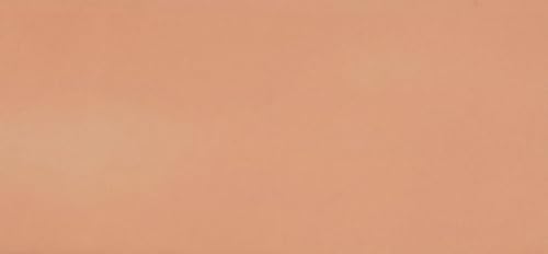 HDK-VERSAND 1 Stück Wachsplatten Uni Grösse 200 x 100 x 0,5 mm (12 Haut)