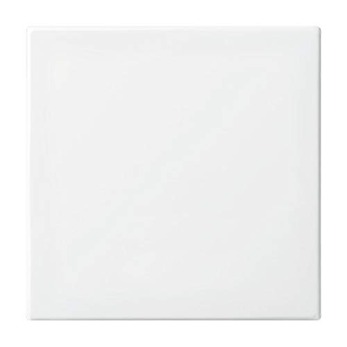 Generisch BJ Alpine White Busch-Balance SI 2506-914 Wippschalter