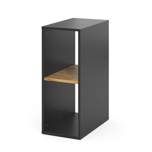 Vicco PC-Schrank Tomy, Anthrazit/Goldkraft Eiche, 28.5 x 50 cm,2 Fächer