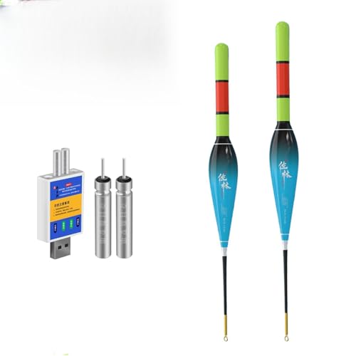 Hegawleo 2 Stück Led Posen Angeln mit CR425 Batterie Ladegerät, angelposen Mit Gravity Sensing Farbwechsel Und Kupferring, Angel Zubehör Zum Meeresfischerei Angeln Am See, Fluss Oder Teich. (5g+6g)