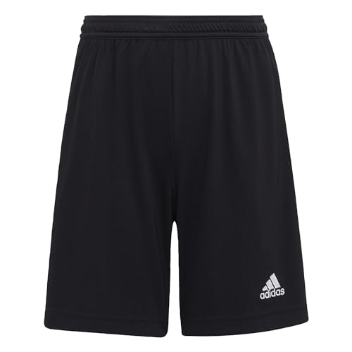 adidas Jungen ENTRADA22 Fußball-Shorts, Schwarz, 13-14 (164)