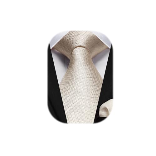 HISDERN Krawatten für Herren Beige Krawatte mit Einstecktuch Formelle Klassische Hochzeit Herrenkrawatte und Taschentuch Set für Männer