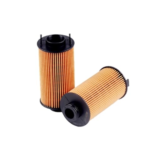 MOTOHIRO 6 Stück Ölfilter for Borgward Bx7 Bx6 Bx5 1,8 t 2,0 t Autoteile 2 Stück A700000017 Fahrzeugölfilter (Size : 2 pcs)