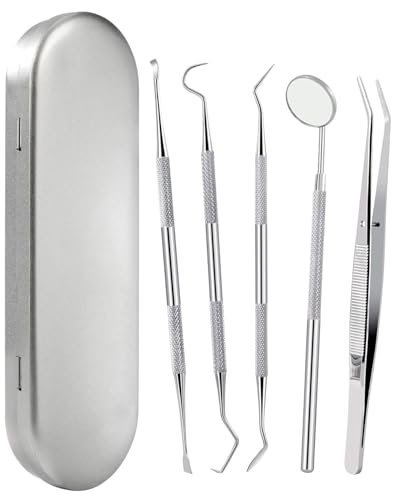 Zeayebsr 5er Zahnpflege Set, Zahnarzt Instrumente Zahnarztbesteck Zahnarztspiegel Zahnpinzette Zahnsonde Zahnsteinentferner Aus Edelstahl mit Box，zahnsteinentferner，zahnreinigungsset professionell