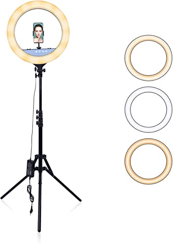 AGM 18" LED Selfie Ringlicht mit Mini-Stativ, Telefonhalter | Bluetooth-Fernbedienung für Live-Streaming-Fotografie Videografie