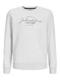 JACK&JONES JUNIOR JJFERRIS Sweat Crew Neck JNR