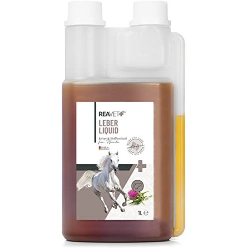 ReaVET Leber Liquid für Pferde 1L - 100% naturbelassenen Kräutermischung, zur Optimierung der Leberfunktion, mit Bitter- & Gerbstoffen zur Entgiftung, Leber Pferd Kräuter