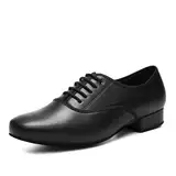YCALCP Tanzschuhe latein Herren Atmungsaktiv Niedriger Absatz Tango Salsa Modern Charakter Schuh ballsaal,LHDMD-2.5CM,42 EU
