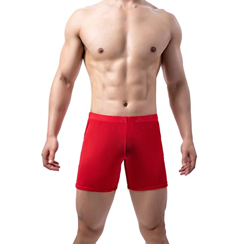 Herren Briefs Unterwäsche Sexy Knickers Ride Up Hose Höschen Nylon(Rot,XL)