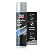 LIQUI MOLY Reifenglanzschaum, Art.-Nr.: 1609 I 400 ml Auto Reifenpflege für Schutz, Geschmeidigkeit & Reifenglanz I Reifenschaum gegen Verwitterung I Einfach zu handhaben & für alle Reifen