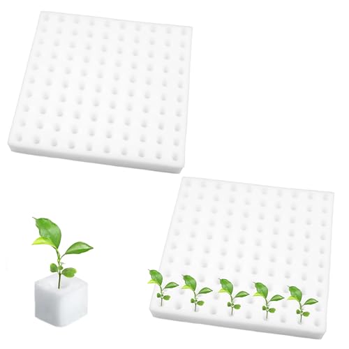 ZAHD 200 PCS Hydroponik Schwamm zum Anzüchten von Samen Sämlings Schwämme Soilless Hydroponic Schwämme Sämlings Schwämme Hydrokultur Sämlingsschwämme für Gewächshaus Anzucht Steinwolle Würfe (Weiß)
