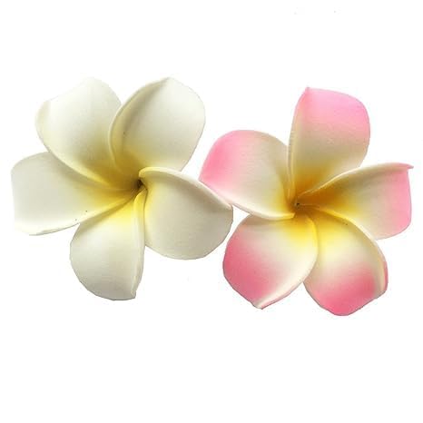 Hawaiianische Frangipani, Schaumstoff-Kopf-Blume, Party-Strand-Haarspangen, Haar-Accessoires (7 cm), Weiß und Rosa, 2 Stück