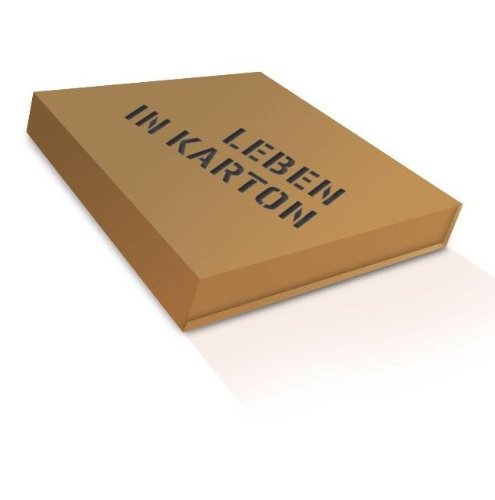 Einrichten: Leben in Karton: Katalog zur Ausstellung in der Städtischen Galerie Villa Zanders, Bergisch Gladbach, 2008/2009