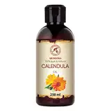 Ringelblumenöl Natürlich 250ml - Reines Calendulaöl - Calendula Officinalis - Calendula Öl Basisöl für Gesicht - Haare - für Massage - Kosmetik - Körperpflege