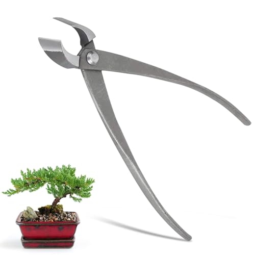 Knospenzange Für Bonsai Edelstahl, Astschere Mit Astschere, Konkaver Schneider, Bonsai-Werkzeuge 21.3cm, Multifunktionale Konkavzange Astschere Cutter Garten Bonsai Für Terrasse, Rasen, Garten