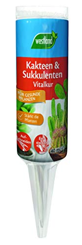 Westland Kakteen & Sukkulenten Vitalkur, 40 ml – Pflanzendünger für gesundes Wachstum, gebrauchsfertiger Flüssigdünger für einen Monat