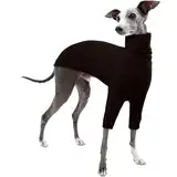 Whippet Pullover, Shirt Whippet Rollkragenpullover Italienischer Windhund Mantel Italienischer Windhund Kleidung Hundepullover Kleine Hunde(Braun, XS)