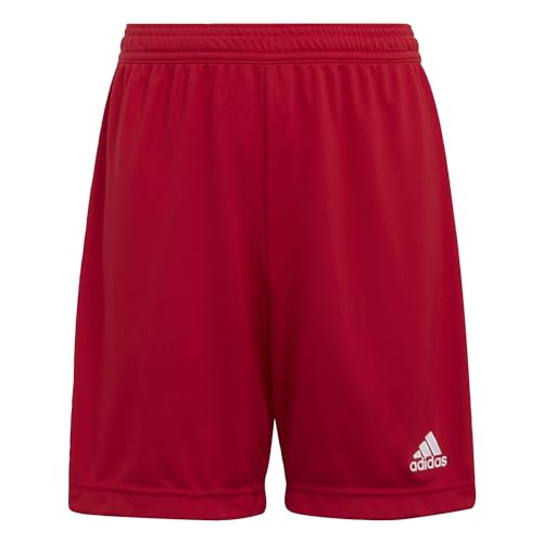 adidas Unisex Kinder Ent22 Y Shorts, Tepore, 13-14 Jahre EU