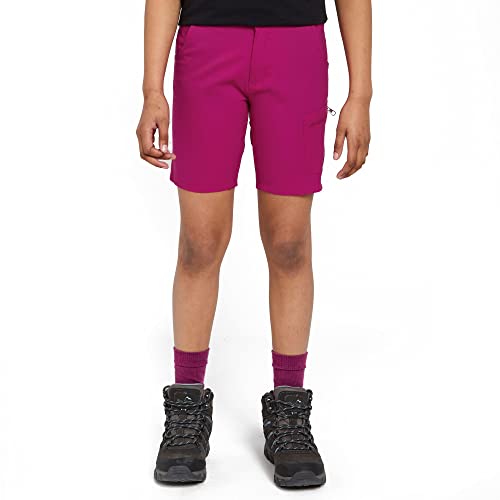 Dare2b Unisex Reprise II Short Pants, Fuchsia, 15 Years