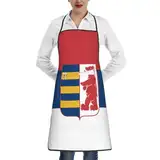 Personalisiert Grillschürzen, Flagge Der Rusinen In Serbisch, Kochschürze Wasserdicht Schürze, Küchenschürze, Gastronomie, Bemalen
