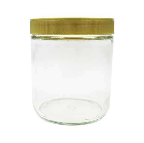 BIENE24.DE 48x Neutralgläser 500g (500ml) im Karton mit Deckel für Lebensmittel Honiggläser Neutralgläser Glas Bienen Honig Marmelade Früchte Vorratsglas