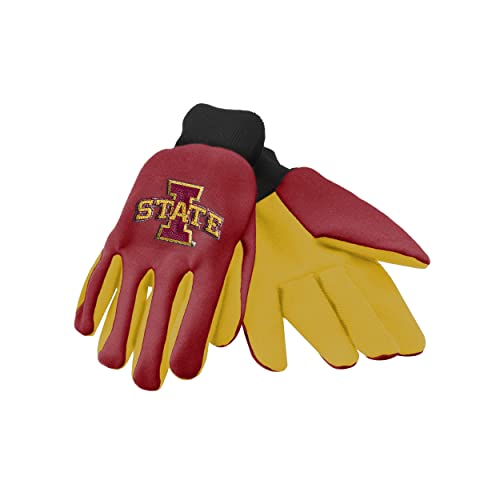 FOCO Iowa State 2015 Utility-Handschuh, farbige Handfläche