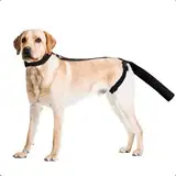 OHCOZZY Hundeschwanz Schutz, Hundegeschirr mit Schutzhülle für die Schwanzenden, Verband Hund Rutenschutz für leckschutz eine Bequeme Genesung nach Wundverletzungen(Größe L)