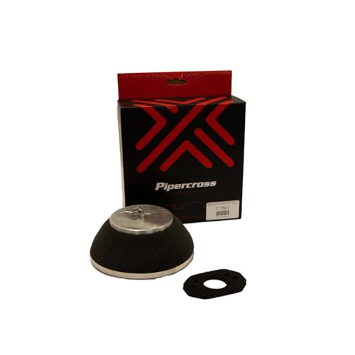 PX50 Mini/Metro SU Vergaserfilter C1501